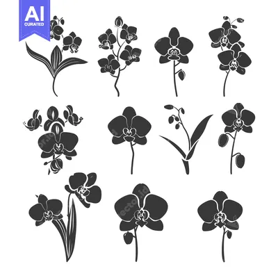 Aset premium populer: A Collection of Silhouettes of Orchids with Different Arrangements