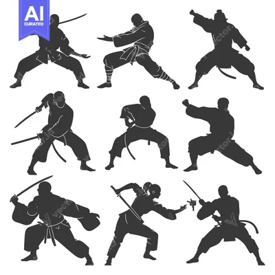 A Collection of Silhouettes of People in Different Martial Arts Fighti