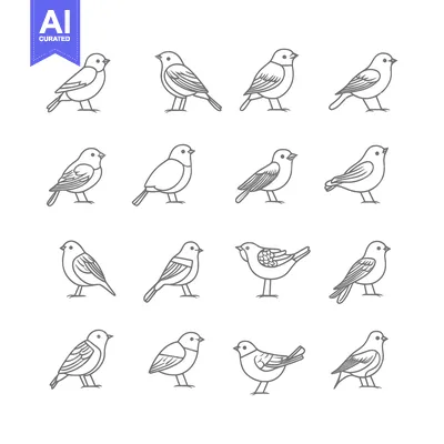 Popular premium asset: A Collection of Simple Line Drawings of Birds in Various Poses