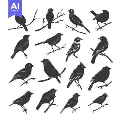 Aset premium populer: A Collection of Sixteen Bird Silhouettes on Branches