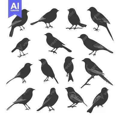 Popular premium asset: A Collection of Sixteen Black Bird Silhouettes in Various Poses
