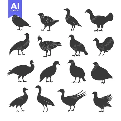 Premium design asset: A Collection of Sixteen Black Silhouettes of Various Bird Species