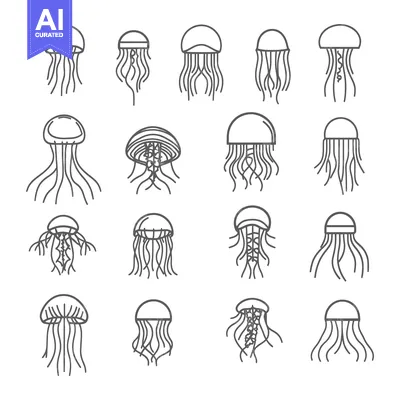Popular premium asset: A Collection of Sixteen Line Drawings of Jellyfish