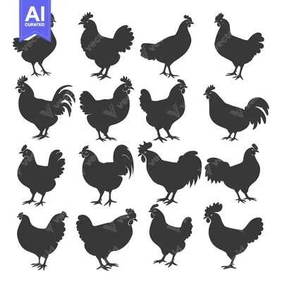 Popular premium asset: A Collection of Sixteen Silhouettes of Chickens and Roosters