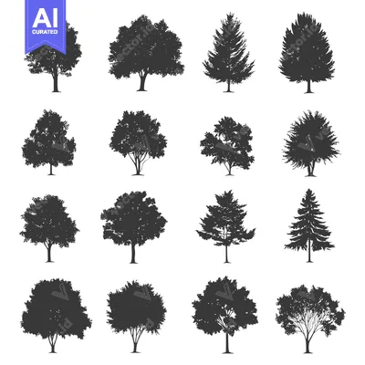 A Collection of Sixteen Silhouettes of Deciduous and Coniferous Trees