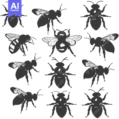 Popular premium asset: A Collection of Ten Black Silhouettes of Honeybees
