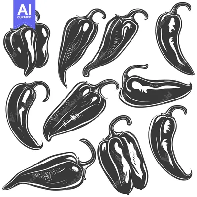 Aset premium populer: A Collection of Ten Hand-Drawn Black and White Chili Peppers