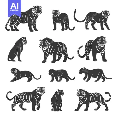 Aset premium populer: A Collection of Tiger Silhouettes in Various Poses