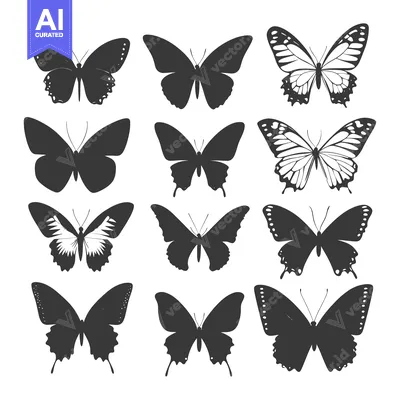Aset premium populer: A Collection of Twelve Black and White Butterfly Silhouettes