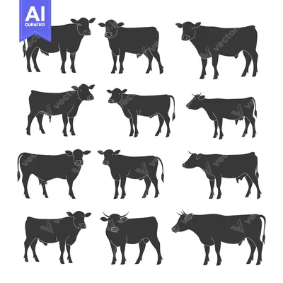 Premium design asset: A Collection of Twelve Black and White Cow Silhouettes