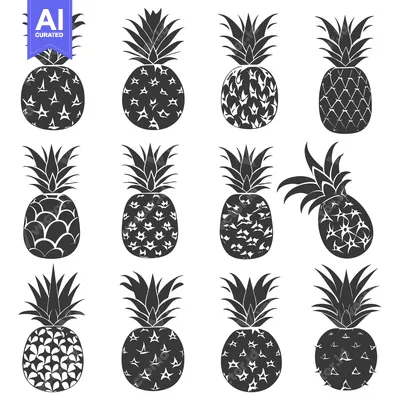 Popular premium asset: A Collection of Twelve Black and White Pineapple Silhouettes
