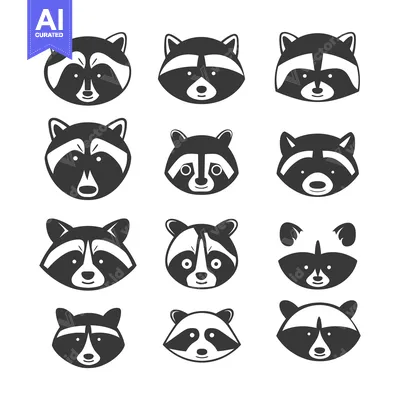 Popular premium asset: A Collection of Twelve Cartoon Raccoon Faces in Black and White