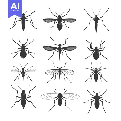 A Collection of Twelve Detailed Silhouettes of Mosquitoes