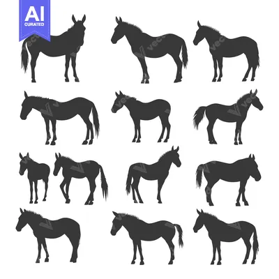 Aset premium populer: A Collection of Twelve Donkey Silhouettes in Various Poses