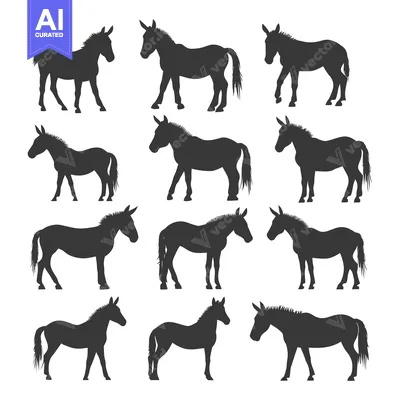 A Collection of Twelve Donkey Silhouettes in Various Poses