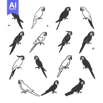 Popular premium asset: A Collection of Twelve Parrot Silhouettes in Black and White