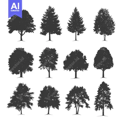 Aset premium populer: A Collection of Twelve Tree Silhouettes with Varying Shapes and Sizes