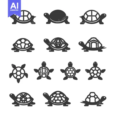 Popular premium asset: A Collection of Twelve Turtle Silhouettes in Various Poses