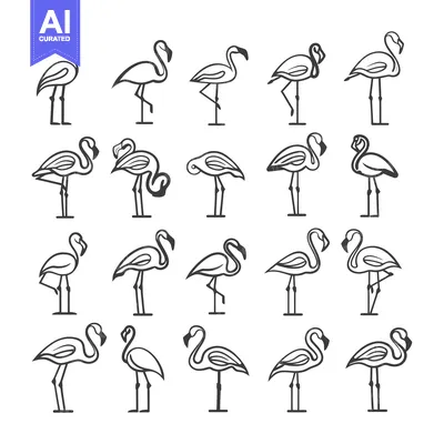 Popular premium asset: A Collection of Twenty Flamingo Outlines in Various Poses