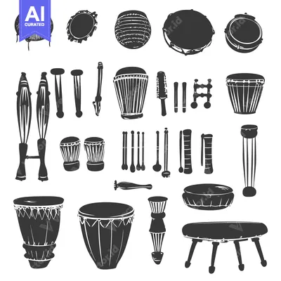 Popular premium asset: A Collection of Various Drums and Percussion Instruments