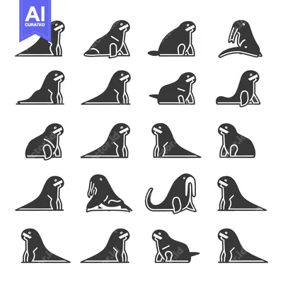 Premium design asset: A Collection of Walrus Illustrations in Various Poses