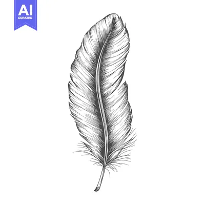 Aset desain premium: A Detailed Hand-Drawn Illustration of a Single Bird Feather