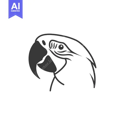 Aset desain premium: A Detailed Line Art Illustration of a Parrot's Head