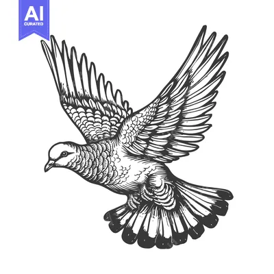 Popular premium asset: A Detailed Line Drawing of a Dove in Flight