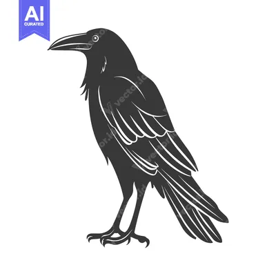 Aset desain premium: A Detailed Silhouette of a Raven in Profile