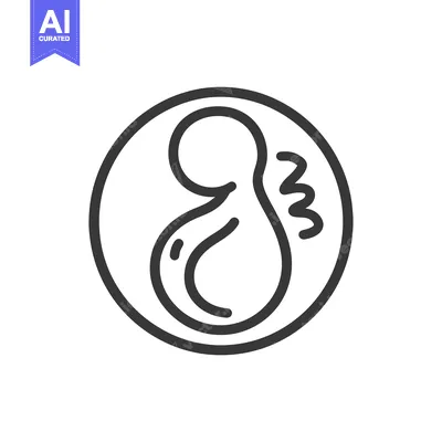 Premium design asset: A fetus in a circular outline