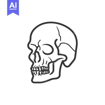 Premium design asset: A simplified black and white illustration of a human skull