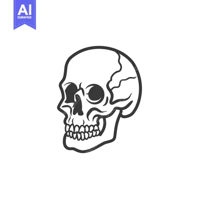 Popular premium asset: An outlined monochrome illustration showing the side profile of a huma
