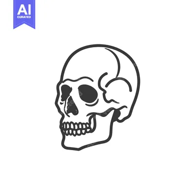 Aset desain premium: A simple illustration of a human skull facing rightward