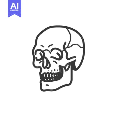 Aset premium populer: An illustrated black and white depiction of a human skull