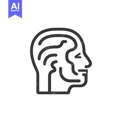 Aset desain premium: A human head outline showing internal structures and form