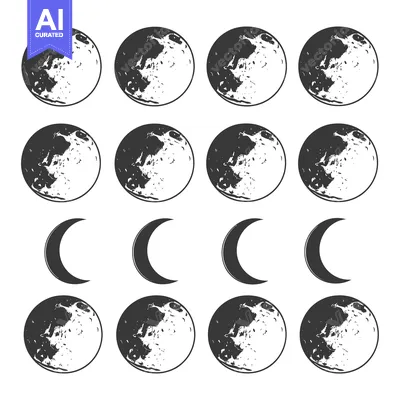 Aset premium populer: A Graphic Depiction of the Lunar Cycle with Full, Gibbous, Crescent, a