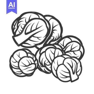Aset premium populer: A Group of Brussels Sprouts Depicted in a Line Drawing Style