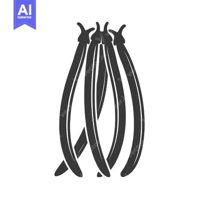 Popular premium asset: A Group of Four Curved Bean Pods with a Single Stem