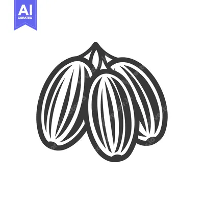 Aset premium populer: A group of three black and white illustrated cardamom pods