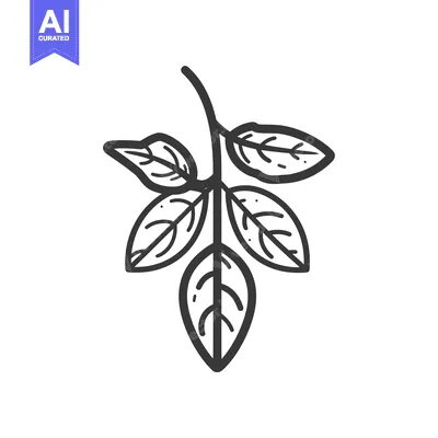 Premium design asset: A Hand-Drawn Illustration of a Branch with Four Leaves