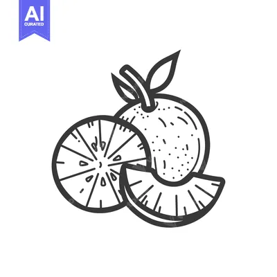 Aset premium populer: A Hand-Drawn Illustration of an Orange with a Slice and a Half