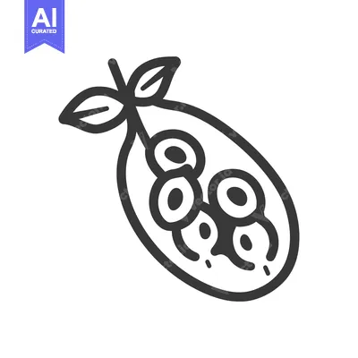 Aset premium populer: A Hand-Drawn Illustration of a Pea Pod with Peas Inside
