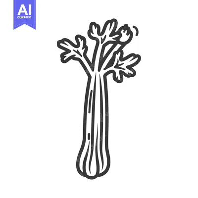 Aset premium populer: A Hand-Drawn Illustration of a Single Celery Stalk