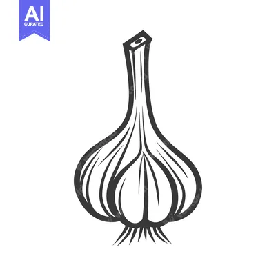 Aset premium populer: A Hand-Drawn Illustration of a Single Garlic Bulb