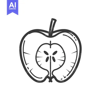 Aset premium populer: A Hand-Drawn Illustration of a Sliced Apple with a Stem