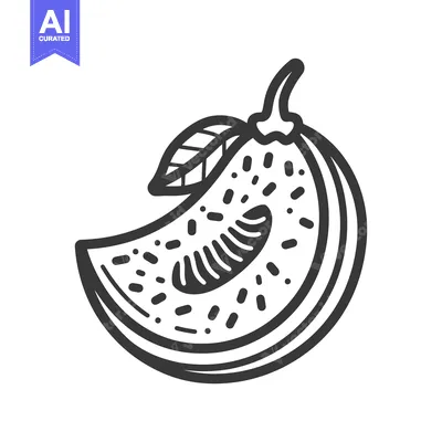 Aset premium populer: A Hand-Drawn Illustration of a Sliced Melon with a Leaf