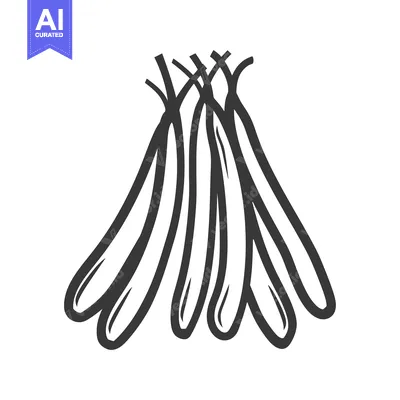 A Hand-Drawn Illustration of Five Green Beans