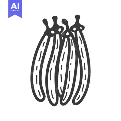 Premium design asset: A Hand-Drawn Illustration of Four Black Bean Pods