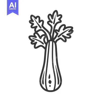 Aset premium populer: A Hand-Drawn Line Art Illustration of a Celery Stalk