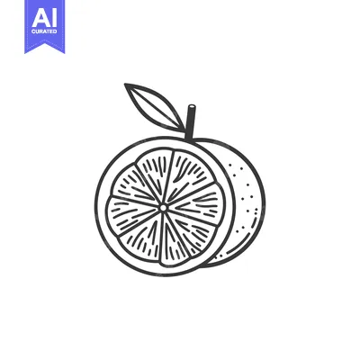 Aset desain premium: A Hand Drawn Outline of an Orange Cut in Half